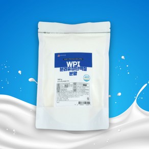 WPI 분리유청단백질 분말 500g HACCP 인증제품