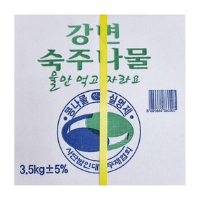 숙주나물 3.5KG/강변, 1개