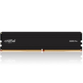 마이크론 Cucial DDR5-5600 CL46 PRO 아스크텍 (16GB), 1개