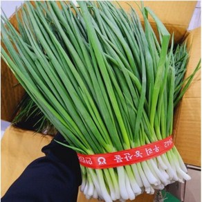 국내산 깐쪽파 1kg 내외 1단, 1개