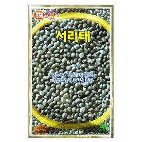 서리태콩 씨앗 콩씨 30g, 3개