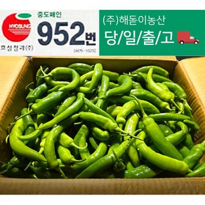 <해돋이농산> 국내산 아삭이고추 오이고추 오이맛고추 못난이상품 5kg 10kg