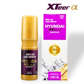 현대 엑스티어 알파프로(전문가용) 가솔린 휘발유 경유 디젤 500ml, 1세트, 가솔린/휘발유, 1개