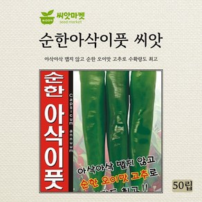 아람종묘 순한 아삭이풋고추 씨앗 50립, 1개