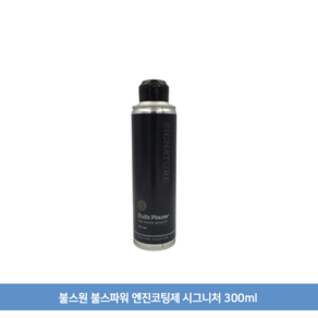 불스원 불스파워 엔진코팅제 시그니처 300ml (랜덤샘플증정), 공용, 1개