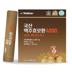 웰스터 국산 맥주효모환 4000 4.2g x 30포