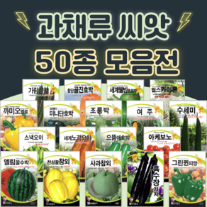 호박 단호박 수박 오이 씨앗 종자 50종 수세미 방울 토마토 파프리카 씨앗 여주 종자, 9. 노랑조롱방울토마토 50립, 1개