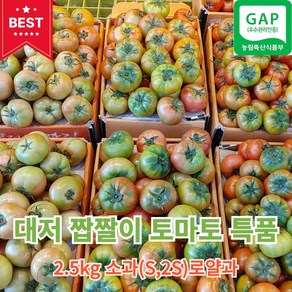 [당도선별] 대저 짭짤이 토마토 부산대저농협인증 특품 짭짤이 2.5KG, 1개, 소과(로얄과 S~2S) 20과 이상