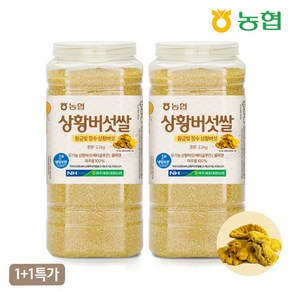 [1+1 특가] 농협 하나로라이스 상황 버섯쌀 대용량 [유기농 상황버섯원료], 2개, 2.2kg
