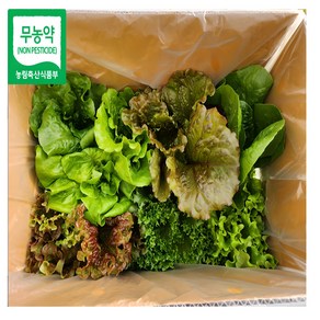 유러피안 샐러드 상추 야채 4~6종 1kg 2kg 스마트팜 (바타비아 크리스탈 로메인등 쌈채소) 전북 김제 유럽채소 쌈채소, 1개