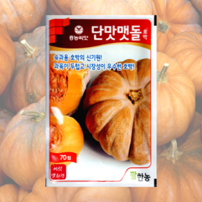 단맛맷돌호박 70립 /착과력우수 품종 맷돌호박 흥농씨앗, 1개