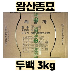 씨감자(두백) 3kg - 왕산종묘 정품 - 품질보증 - 강원도 채종 - 2025년 파종용 -, 1개