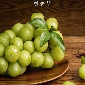 산지 직송 당도 보장 샤인머스켓 가정용 정품, 샤인머스켓 가정용4kg, 1개