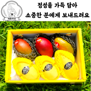 [제돌과일] 당도선별 초고당도 최상급 망고 선물세트, 혼합망고 선물세트(보자기무료), 1박스