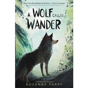 A Wolf Called Wande, Geenwillow Books