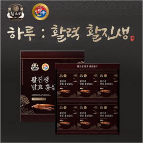 하루활력 활진생 6년근 국내산발효홍삼, 1개, 2.1L