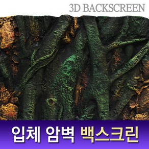 피알피쉬 3D 암벽 백스크린 #우드스톤