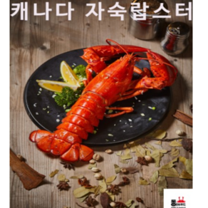 동아씨푸드 캐나다 자숙 랍스타 2마리 900g내외, 1개, 900g 내외(2마리 중량)