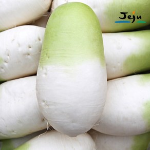 [농가신선] 제주 월동 무우 세척 무 고랭지 해남 태백, 1박스, 5kg
