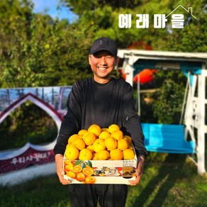 예래마을 제주 서귀포 가정용 감귤 10kg 크기랜덤, 1개