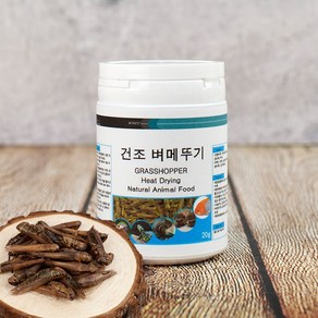 열풍건조 벼메뚜기 20g 소동물 앵무새 고단백질 간식, 1개