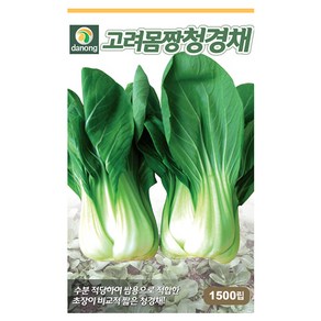 다농 고려 몸짱 청경채 씨앗 1500p, 1개