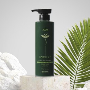 [일양약품] 아오미 녹차진액 샴푸 500ml, 1개