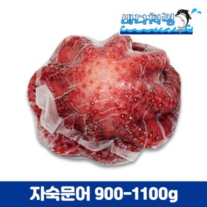 자숙문어 900/1100g 필리핀 냉동 제수용 숙회용 데친문어