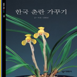 대원사 새책-스테이책터 [한국 춘란 가꾸기] -빛깔있는책들 - 즐거운 생활 138-대원사-강법선 지음-원예/조경/텃밭-19930, 한국 춘란 가꾸기