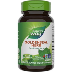 네이쳐스웨이 골든씰 허브 800mg 100베지캡슐 2병 Natue's Way Goldenseal Heb, 2개, 100정