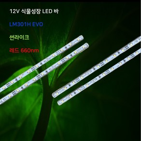 식물 성장 12V 삼성 LM301H EVO LED 생장등 서울 선라이크, 삼성 LM301H EVO 50cm, 1개