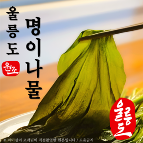 아이섬 울릉도산 명이나물 (1kg) 명이절임 명이장아찌 명이지 명의나물 반찬 아이섬 업소용 대용량, 1kg [ 명이나물 + 명이절임소스 + 용기], 1kg, 1개