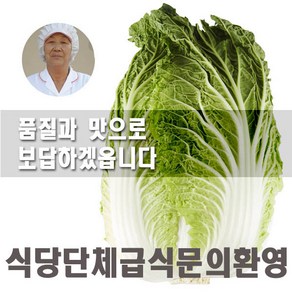 발송중/괴산절임배추 20kg/달달고소/15포기이상 작은배추, 20kg, 1월 10일발송-11일도착