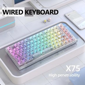 텐키리스키보드 RGB 백라이트 82 키 투명 기계식 키보드 화이트 핫 스왑 가능 스위치 게이머용 유선, 흰색 스위치, Wied Keyboad, [01] Wied Keyboad