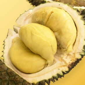 [중독될껄?] 진한달콤함 생두리안 태국 durian