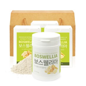 갑당약초 보스웰리아 추출 분말 4병 선물세트, 100g, 1박스