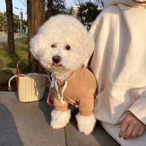 멍팔상팔 무지후드티 강아지후드티 소형견후드티 소형견실내복 강아지실내복 중형견실내복 소형견이너티 중형견후티, 브라운