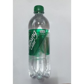 칠성사이다 업소용 PET, 500ml, 12개