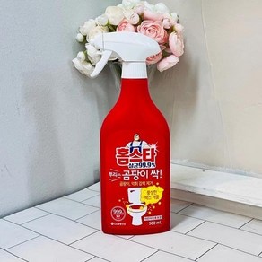 홈스타 실용적인 뿌리는 곰팡이 싹500ml