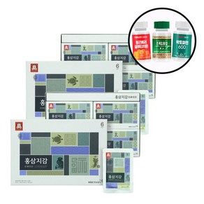 정관장 홍삼지감 20포 2개+랜덤영양제 6년근 홍삼즙 어버이날 선물, 1L, 2개