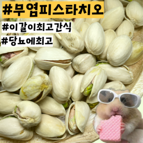 [내일도착] 당뇨예방 무염 햄스터 기니피그 친칠라 이갈이 피스타치오 간식, 1개, 20g