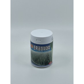 대파씨앗 80g 금장외대파 종자 채소씨앗, 1개