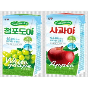 남양 청포도야 과즙음료 190ml x48팩, 24개