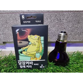 당장켜봐 적외선(붉은빛) 스팟 램프 60w 파충류 육지거북 히팅 조명, 1개