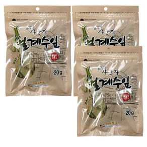 월계수잎 20g, 3개