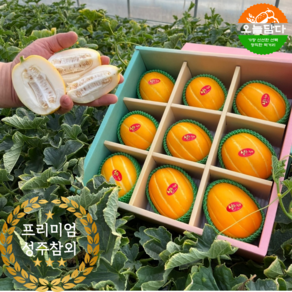 [오늘담다] 프리미엄 고당도 성주 꿀참외 선물용, 1박스, 3.5kg