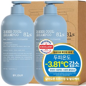 바이아우어 맥주효모 81만PPM 단백질 쿨 탈모 샴푸, 1.017L, 2개