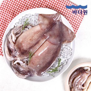 [바다원] 손질통오징어 230g x 4팩 (4마리)