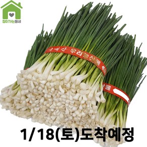 국내산 깐쪽파 쪽파 파 1단 (약1Kg), 1kg, 1개