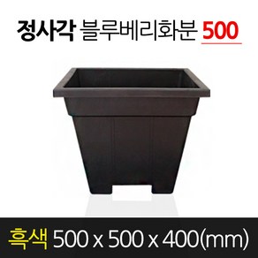 금산화분나라 고무 블루베리화분 정사각형 흑색 500 x 400 분갈이